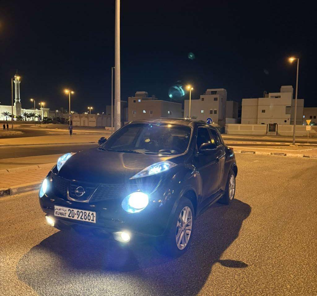 2013 نيسان جوك