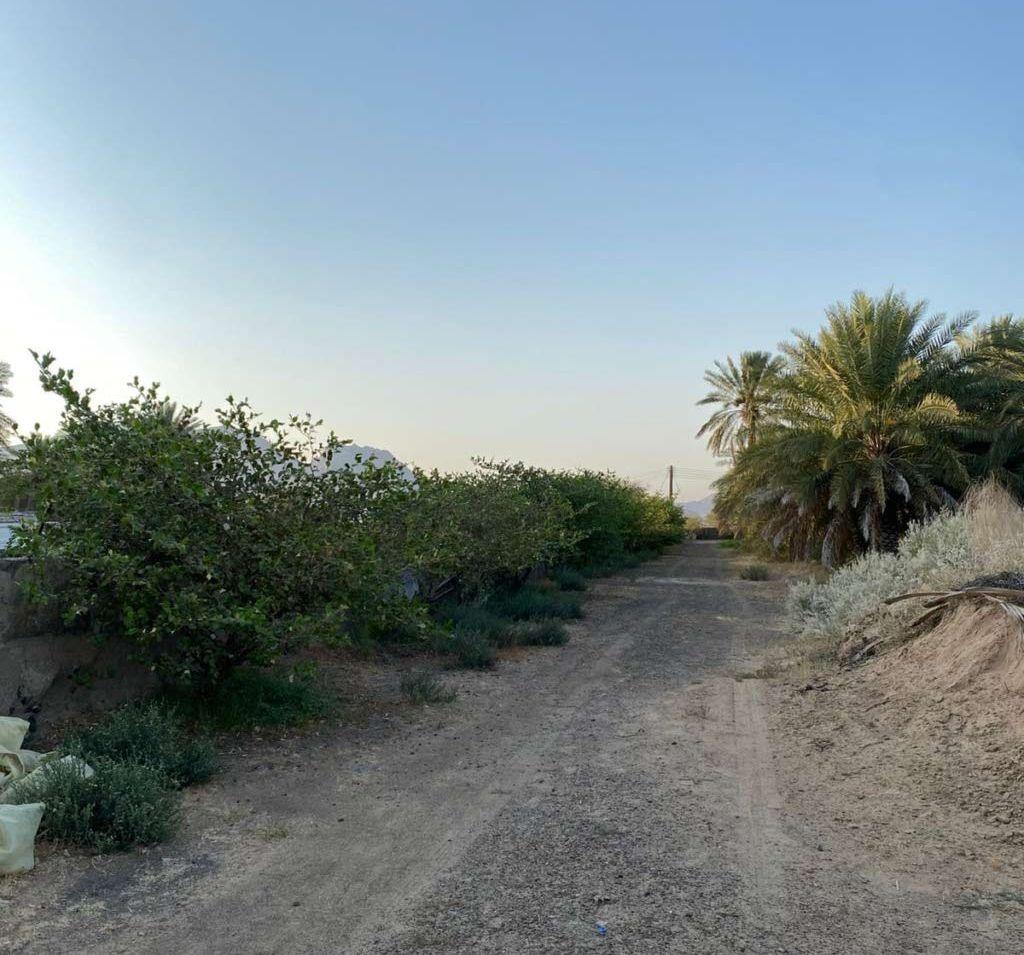 مزرعة للبيع قائمة