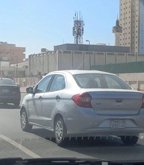 شقحاء خلفة بكر