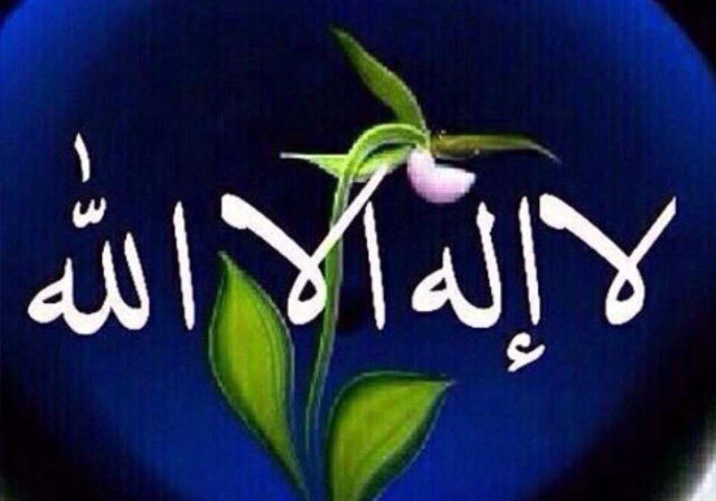 للإيجار ادوار ارضيه