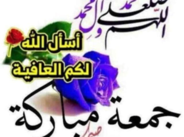 محل للبيع ابوبكر