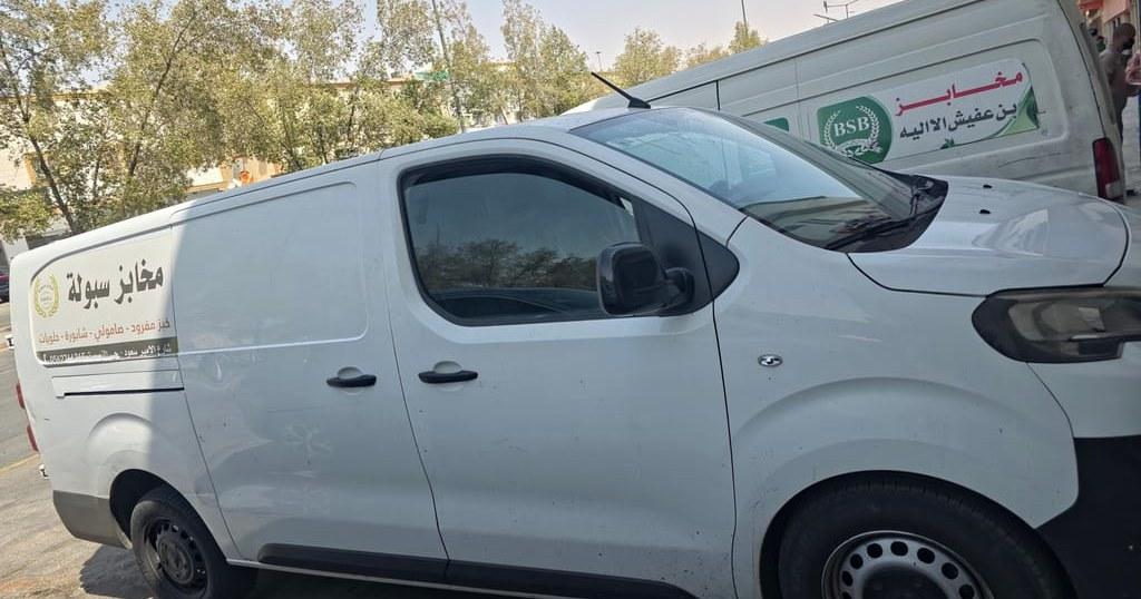 peugeot expert van