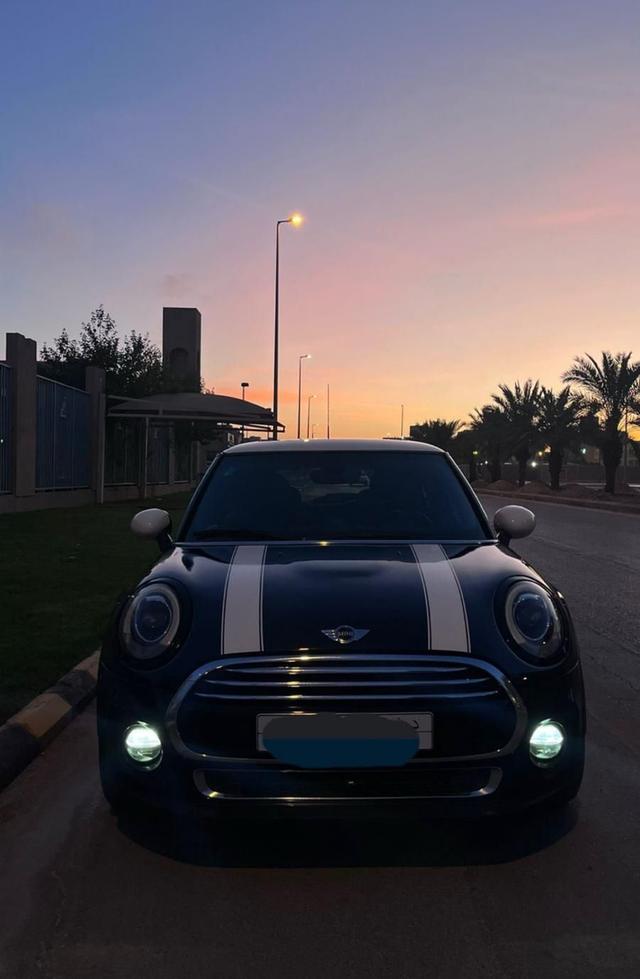 صوص بط مسكوفي