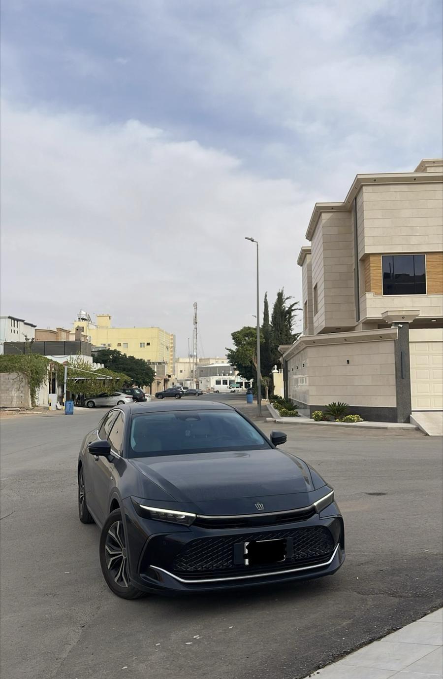 سمك القوارمي والبليكو