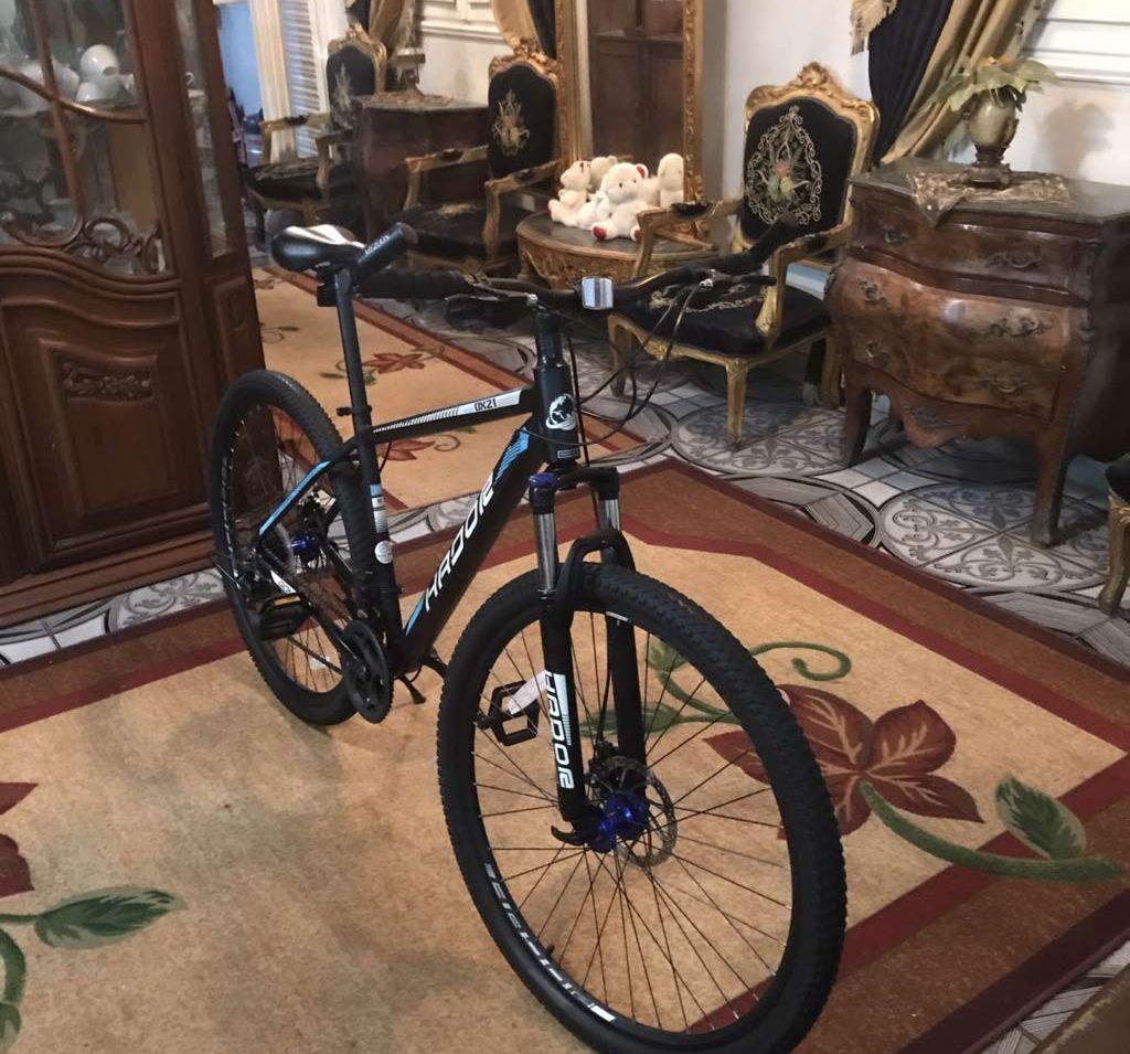 عجله HADOR OX21