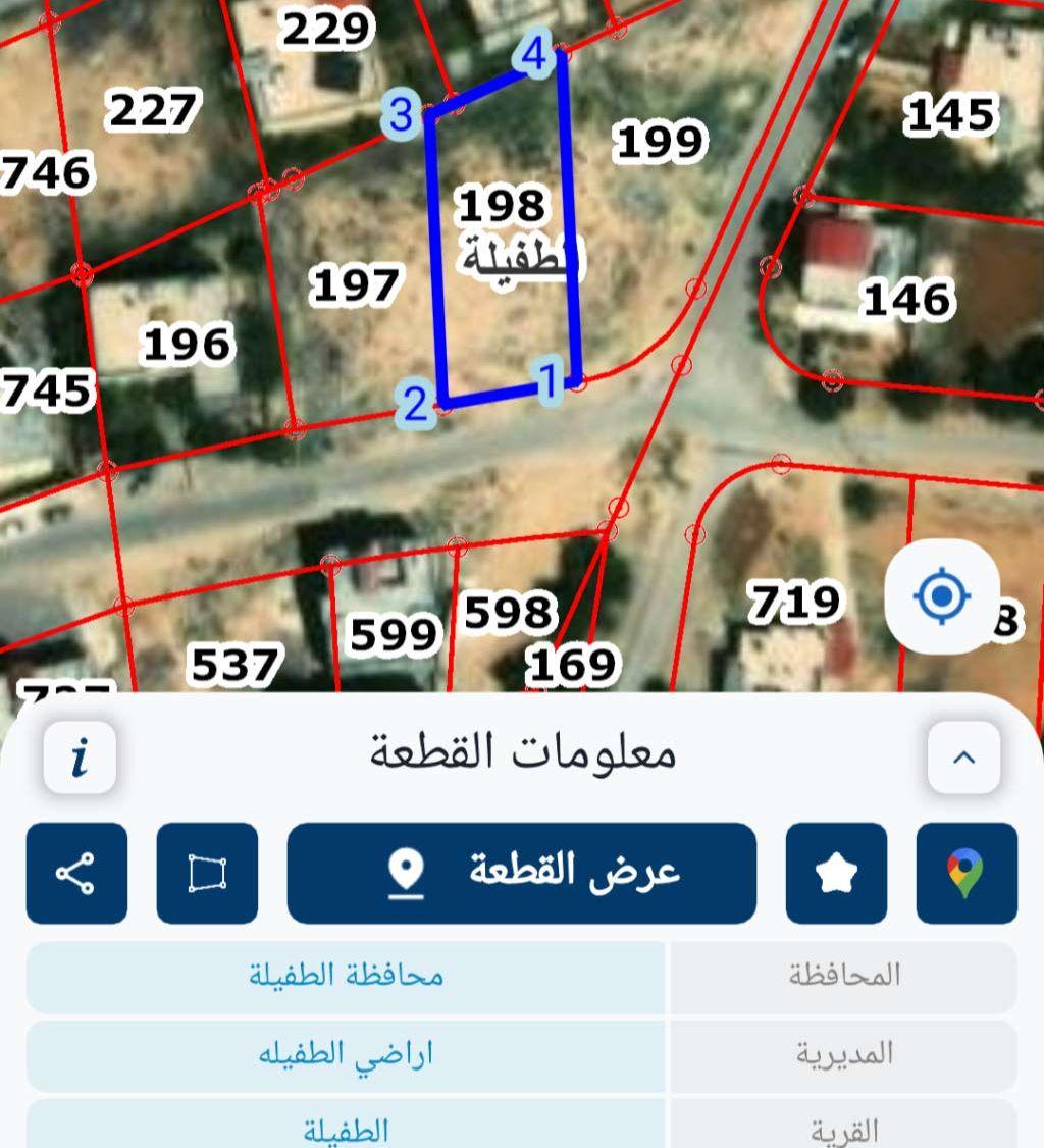 نمرتين ارض للبيع