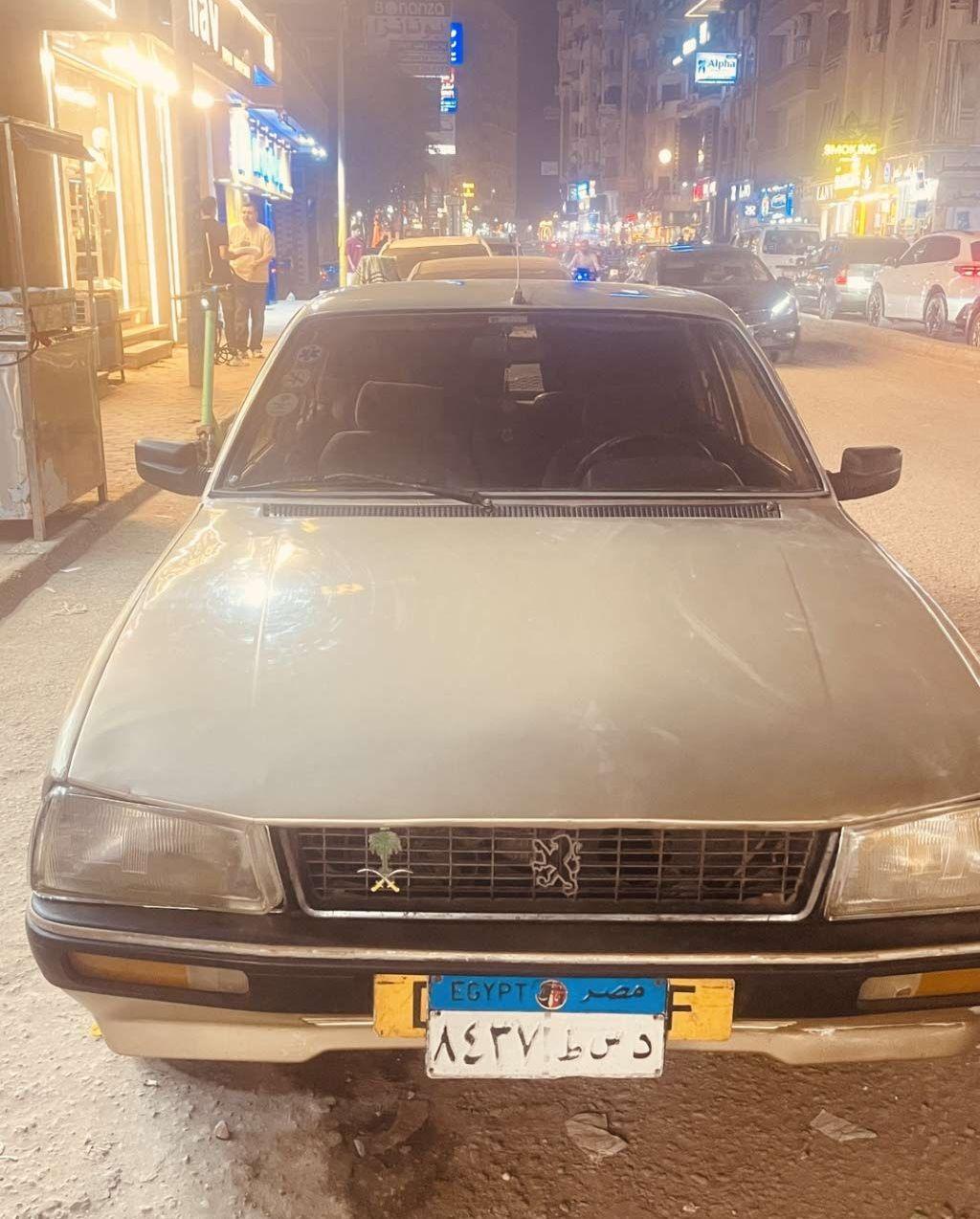 1980 بيجو 505
