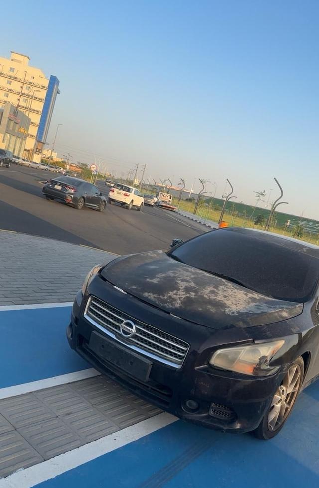 عش بياضة للببغاوات
