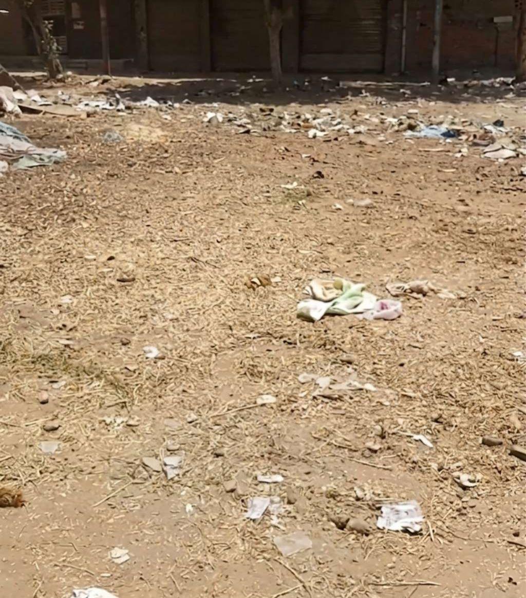 فرصة نادرة لا