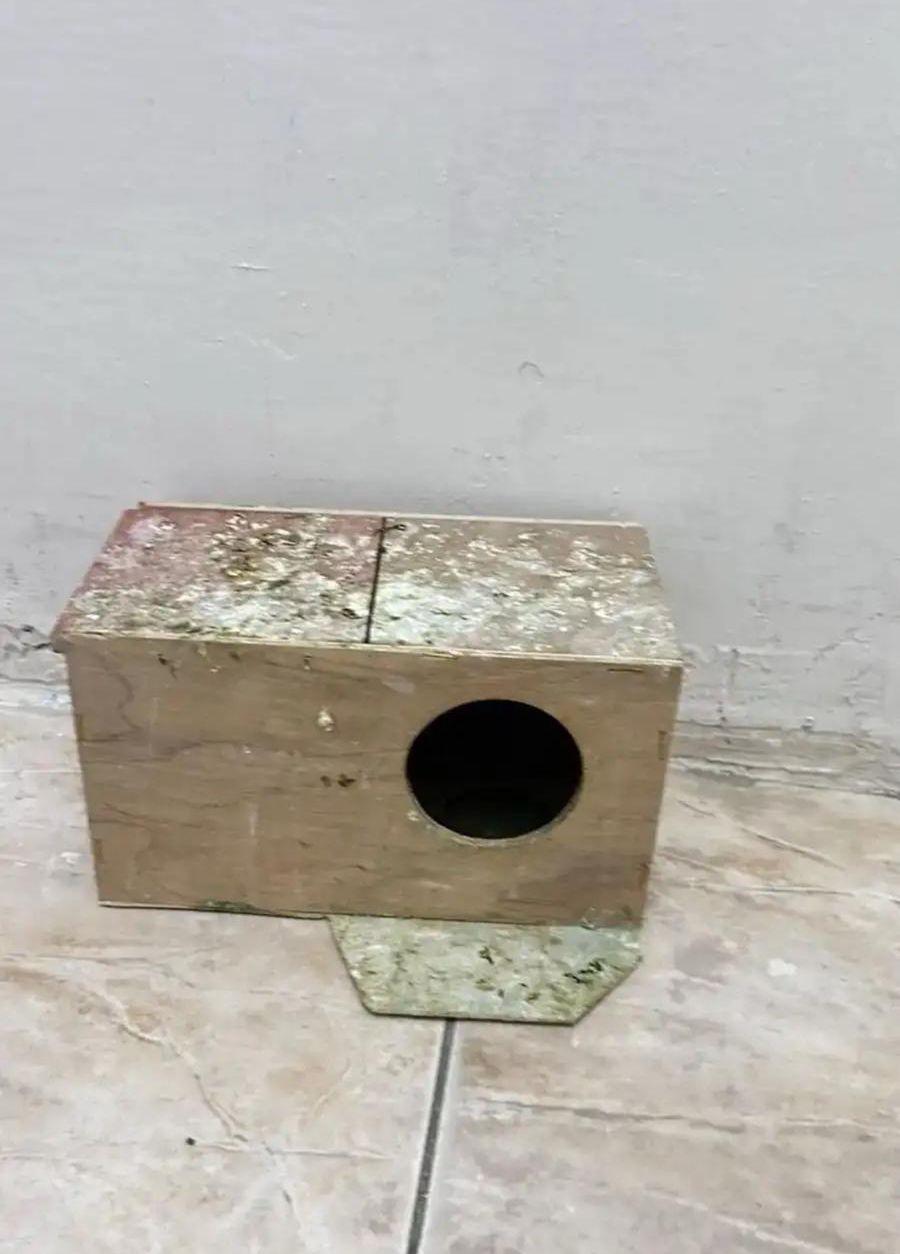 كوخ حق روزو
