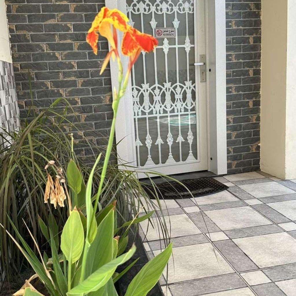 شاليه للايجار اليومي