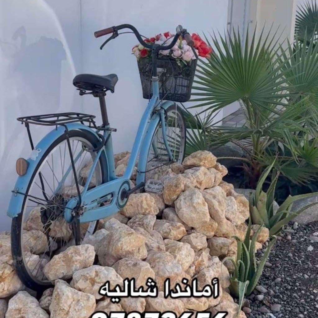 شاليه للايجار اليومي