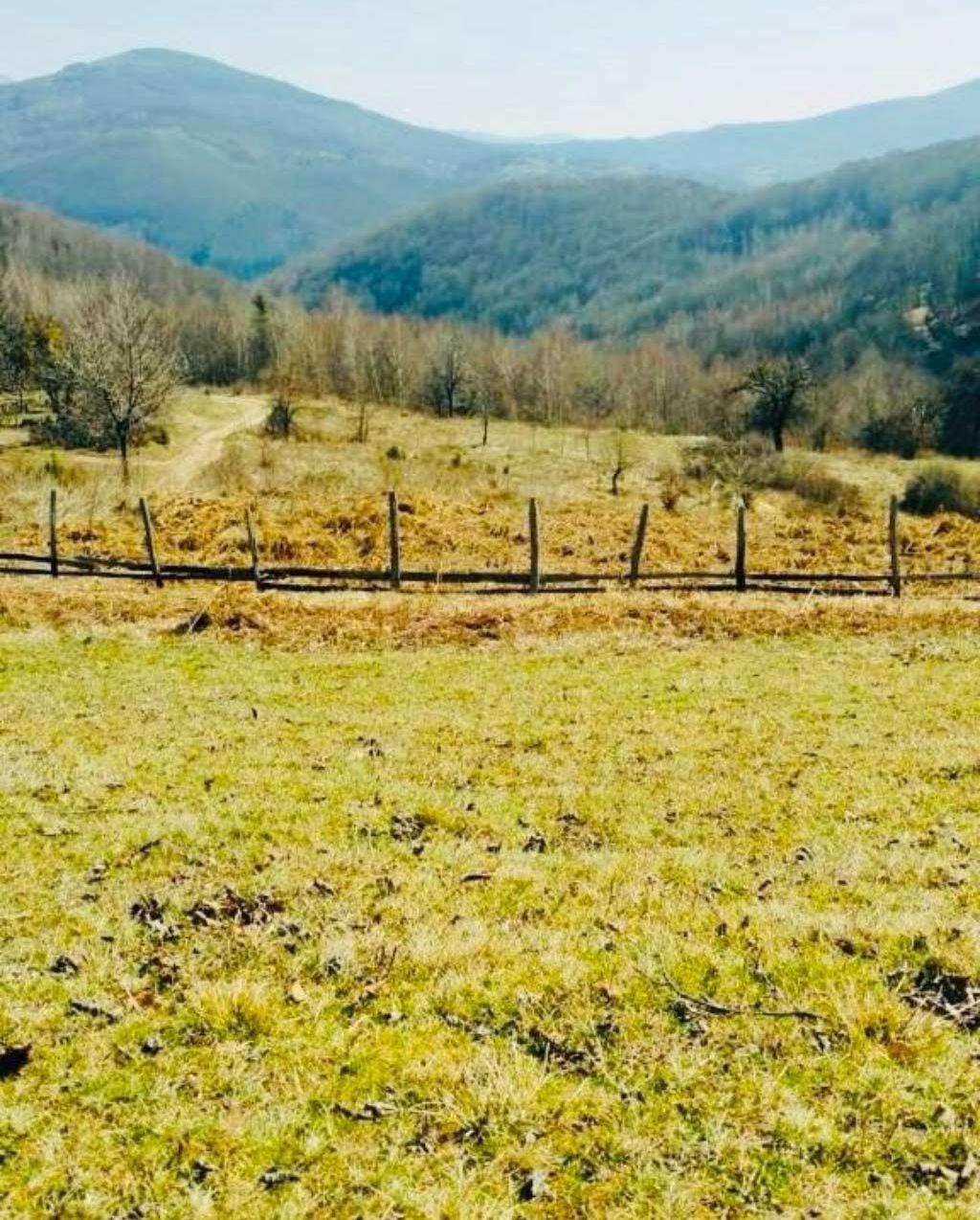 BOSNIAN Land for