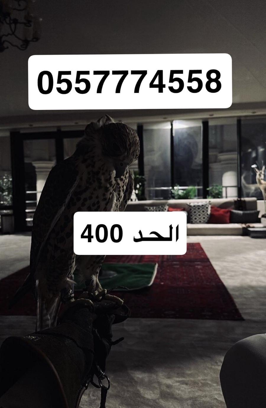 ثلاث أزواج حمام