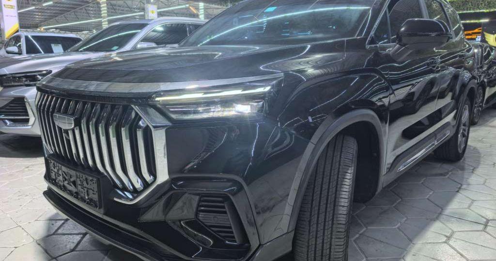 2026 جيلي اوكافنجو