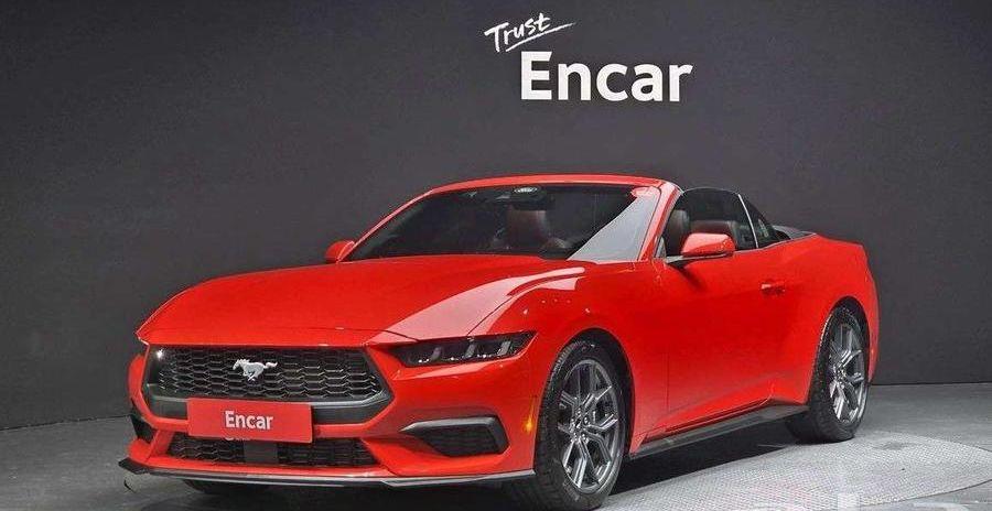 بطة صفراء وحيدة
