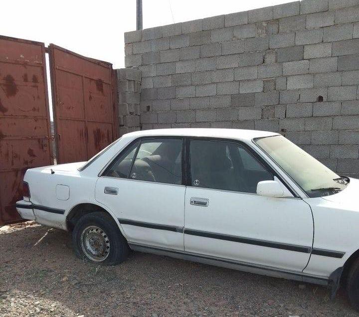 فاين حفايض اطفال