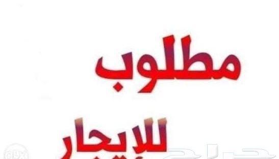 مطلوب غرفة للايجار