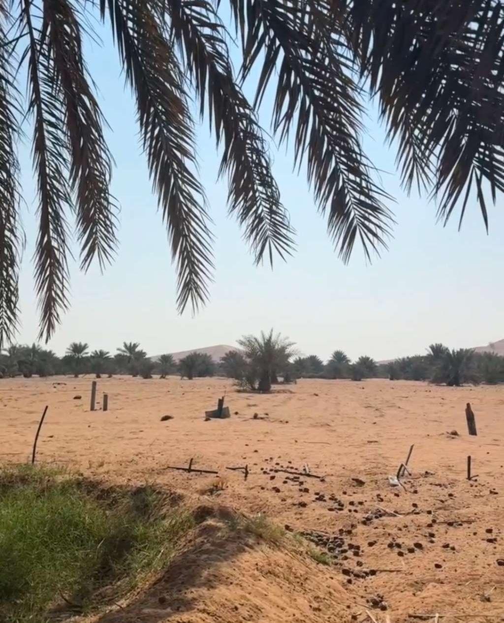 مزرعة للإيجار