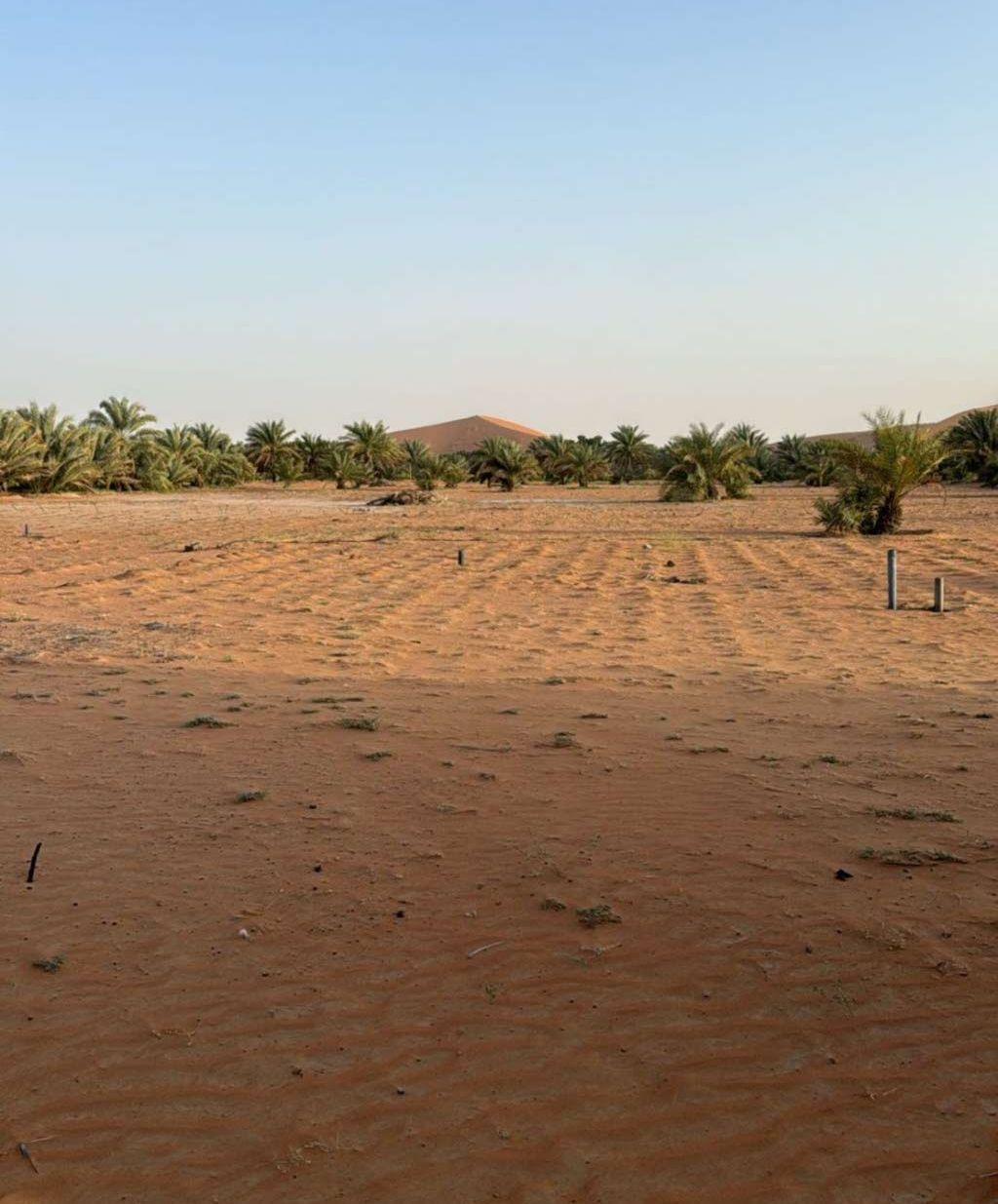 مزرعة للإيجار