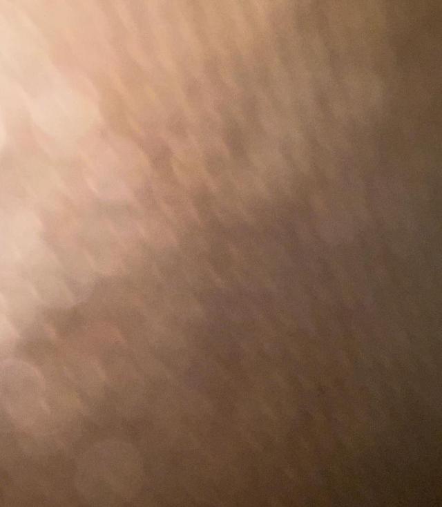 ابحث عن شقه