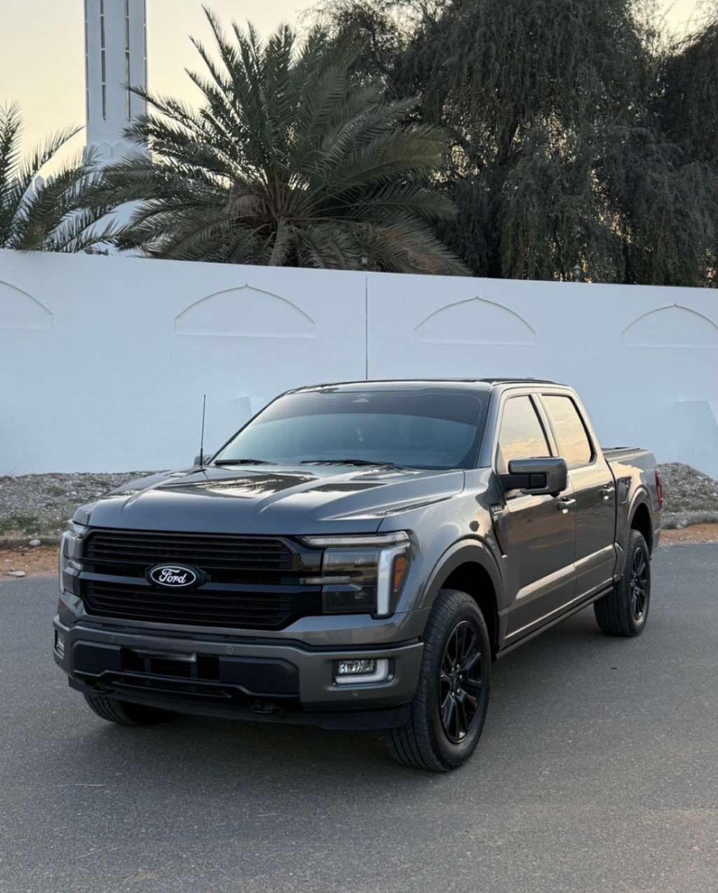 2025 فورد F-150