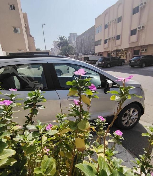البيع اليوم فقط