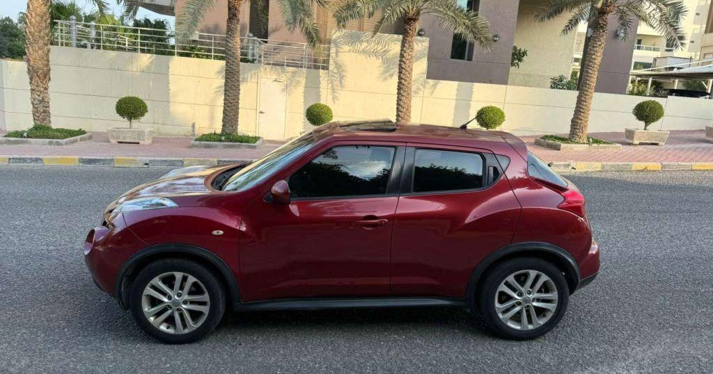 2013 نيسان جوك