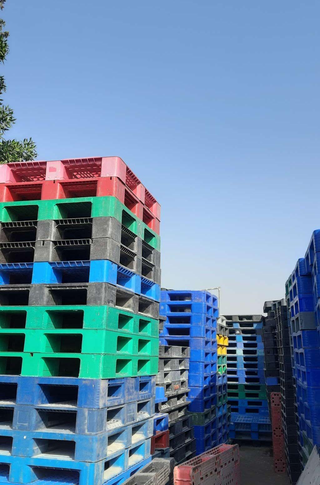 Second-Hand Plastic Pallets/