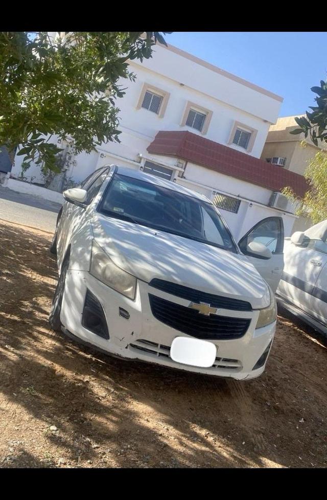 كروز 2013