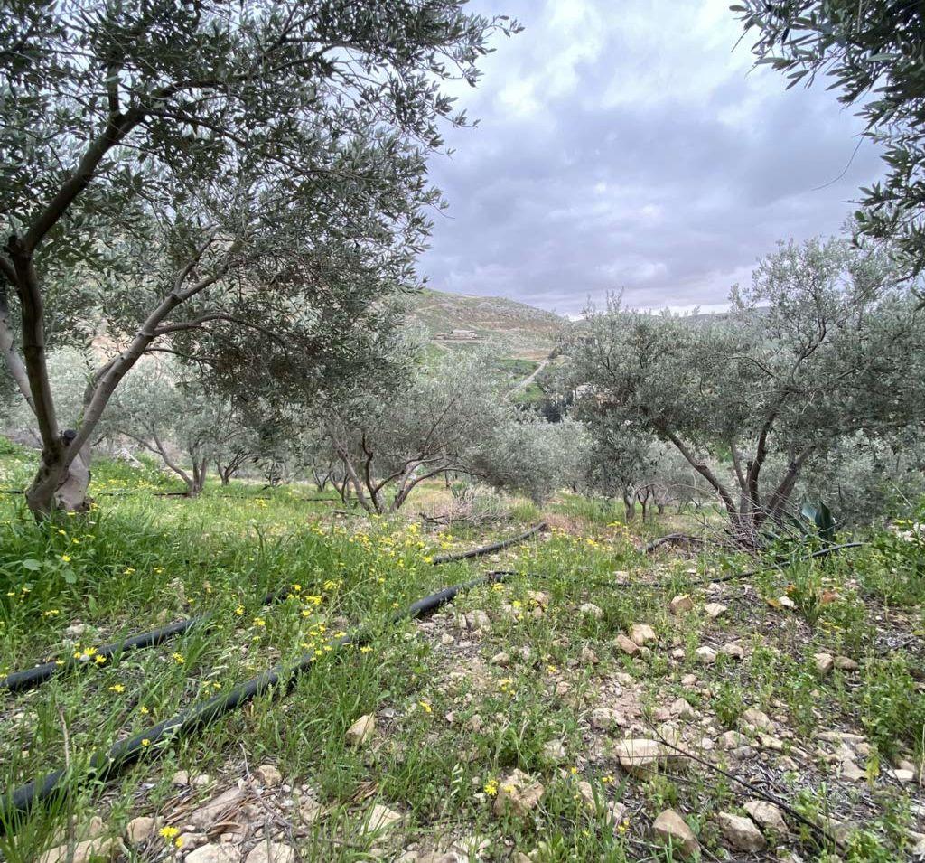 قطعة ارض مطلة