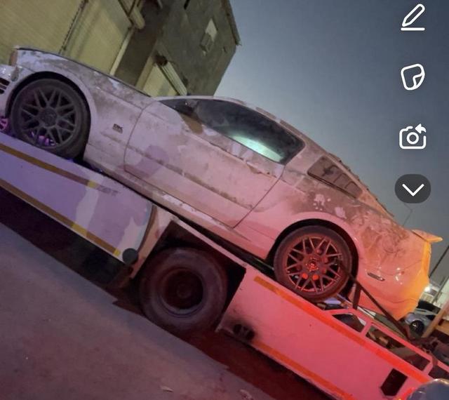 بط صغار للبيع