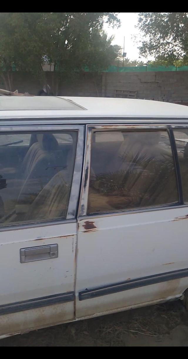 سمك بلطي جملة