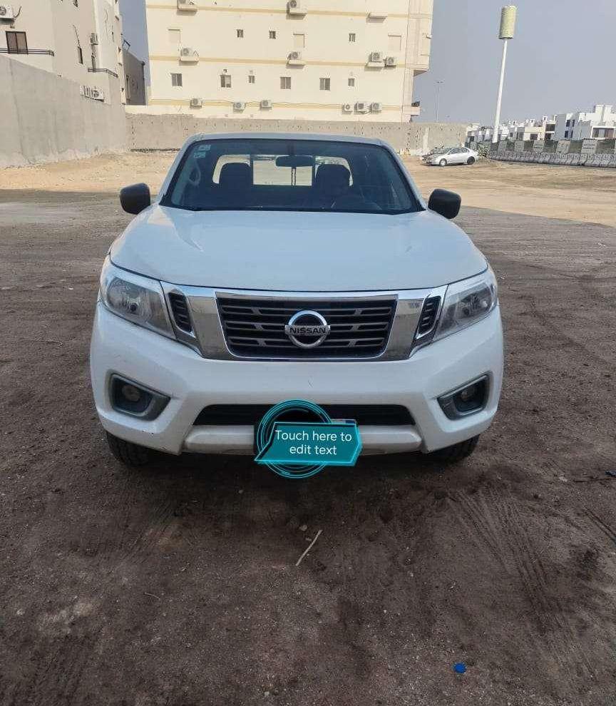 ثور ألماني فحل