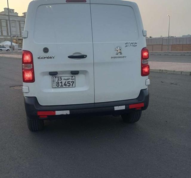 2020 بيجو اخرى