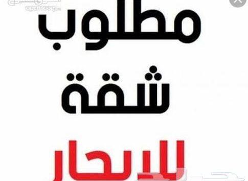 مطلوب شقق للايجار